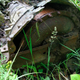 Image for article titled The Mysterious Pile Of 1950s Transmissions Buried At The Site Of An Old GM Plant